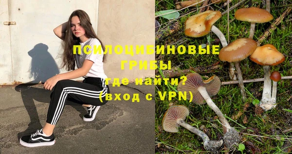 дмт Абинск