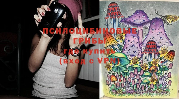 дмт Абинск