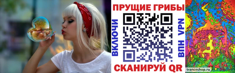 Псилоцибиновые грибы Psilocybine cubensis  купить   Урень 